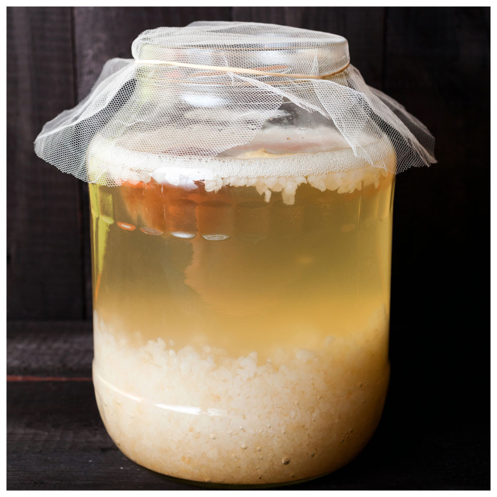 100g de Kefir de Água Fresco Kefiralia 100g de Kefir de Água Fresco Kefiralia