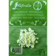 PROMOÇÃO - Pack 40g de Kefir de Leite + 100g de Kefir de Água Frescos