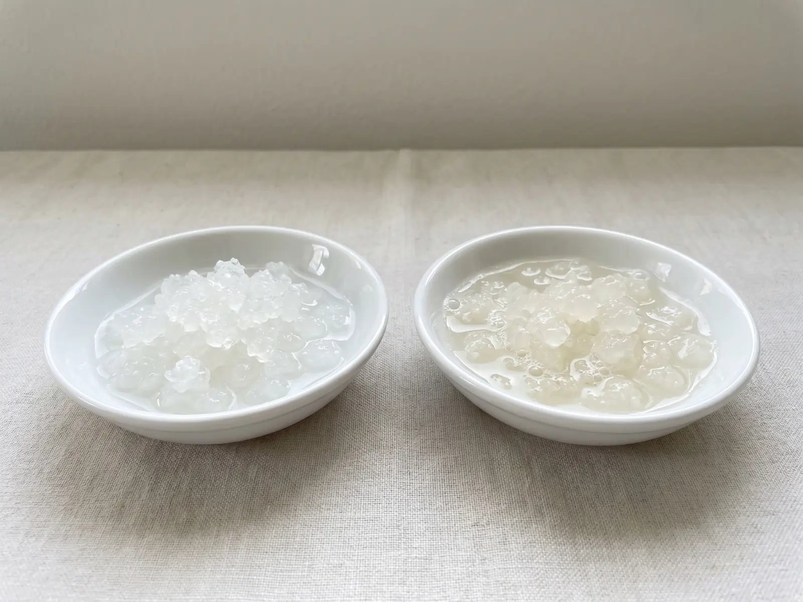 kefir de fruta Cuencos de cerâmica branca com grãos translúcidos de kefir de água recém-hidratados e brilhantes.