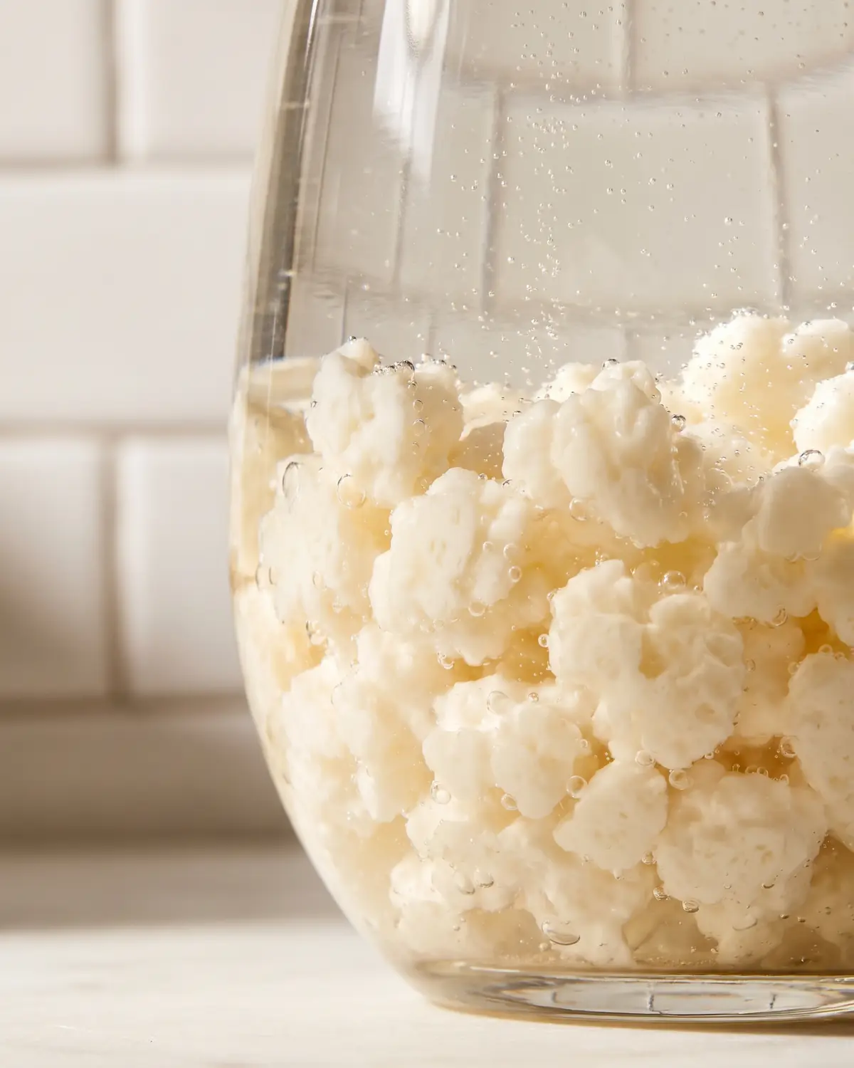 kefir caucaso Bolhas finas sobem entre grãos de kéfir de leite num vidro curvo, com fundo de azulejo branco.